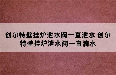 创尔特壁挂炉泄水阀一直泄水 创尔特壁挂炉泄水阀一直滴水